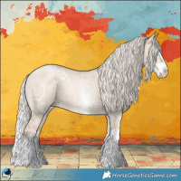 Horse Color:Silver Grullo Ice Pearl Sabino Splash