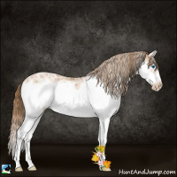 Horse Color:White Spotted Bay Ice Pearl Splash Frame 