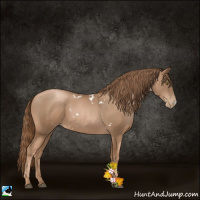 Horse Color:White Spotted Liver Chestnut Pearl 