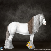 Horse Color:Black Pearl Sabino Splash