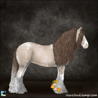 Horse Color:White Spotted Grullo Ice Pearl Splash 