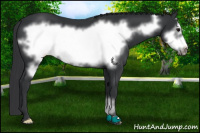 Horse Color:Black Frame 