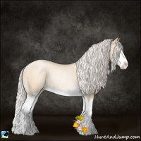 Horse Color:Silver Sable Champagne Roan Pearl Dun Splash Rabicano 