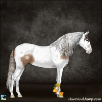 Horse Color:Black Pearl Splash Tobiano 
