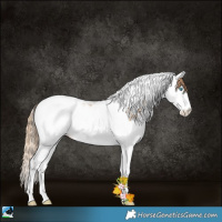 Horse Color:Gold Champagne Pearl Splash Tobiano