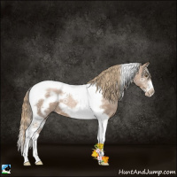 Horse Color:Liver Chestnut Ice Pearl Tobiano Frame 