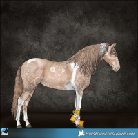 Horse Color:Liver Chestnut Ice Pearl Tobiano Rabicano 