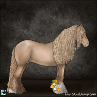 Horse Color:Liver Chestnut Pearl 