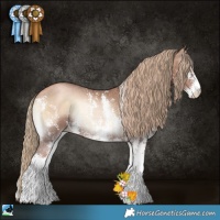 Horse Color:Liver Red Onyx Pearl Sabino Rabicano 