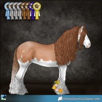 Horse Color:Bay Pearl Sabino Splash