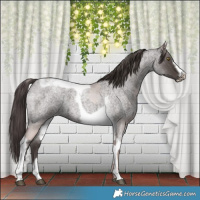 Horse Color:Platinum Liver Red Roan Pearl  and Platinum Liver Red Roan Tobiano Frame 