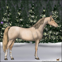 Horse Color:Red Roan Pearl  and Red Roan Pearl 