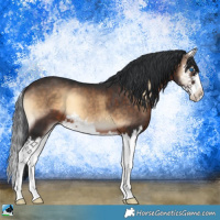 Horse Color:Brown Onyx Splash 
