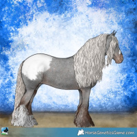 Horse Color:Liver Chestnut Mushroom Appaloosa 