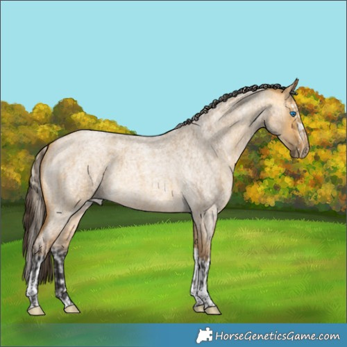 Horse Color:Chocolate Palomino Roan Pearl Splash  and Buckskin Roan Dun Tobiano 