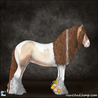 Horse Color:Brown Pearl Onyx Sabino Tobiano 