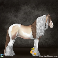 Horse Color:Blue Onyx Pearl Sabino Tobiano