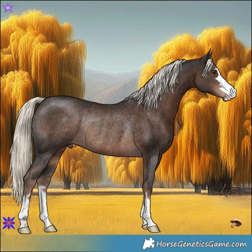 Horse Color:Liver Chestnut Mushroom Rabicano 