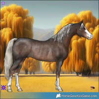 Horse Color:Liver Chestnut Mushroom Rabicano