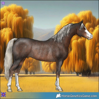 Horse Color:Liver Chestnut Mushroom Rabicano 
