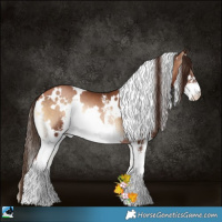 Horse Color:White Spotted Brown Pearl Onyx Sabino