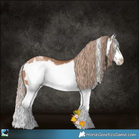 Horse Color:White Spotted Liver Chestnut Pearl Splash Frame Rabicano 