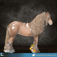 Horse Color:White Spotted Liver Chestnut Pearl 