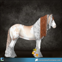 Horse Color:White Spotted Sable Champagne Pearl Onyx Splash 