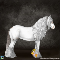 Horse Color:Blue Onyx Pearl Sabino 