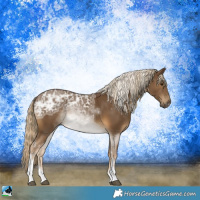 Horse Color:Chocolate Palomino Ice Sabino Tobiano Rabicano