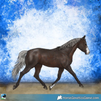 Horse Color:Silver Brown Sabino 