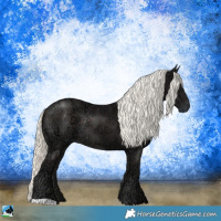 Horse Color:Liver Chestnut Ice Mushroom Rabicano 