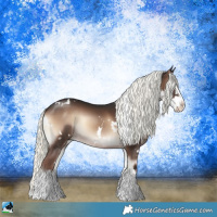 Horse Color:White Spotted Liver Red Onyx Mushroom Splash Rabicano 