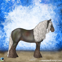 Horse Color:Liver Chestnut Mushroom 