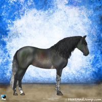 Horse Color:Platinum Brown Tobiano Rabicano