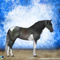 Horse Color:Platinum Brown Tobiano Rabicano 