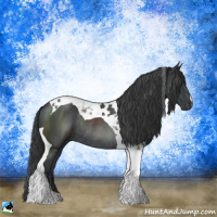 Horse Color:Platinum Black Tobiano Rabicano