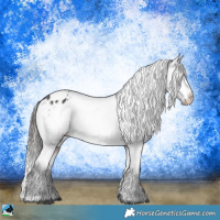 Horse Color:Brown Appaloosa Rabicano