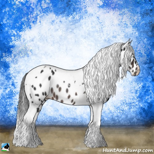 Horse Color:Brown Tobiano Appaloosa Rabicano 