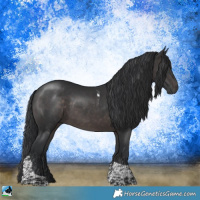 Horse Color:Platinum Brown Tobiano Rabicano