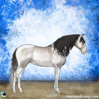 Horse Color:Platinum Sable Champagne Roan Onyx Splash Tobiano Rabicano