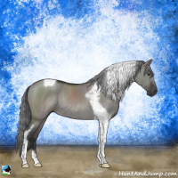 Horse Color:Platinum Liver Red Dun Mushroom Tobiano Rabicano