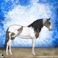 Horse Color:Platinum White Spotted Brown Tobiano Frame Rabicano
