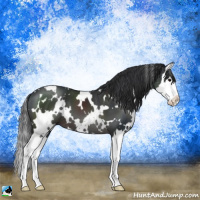Horse Color:Platinum White Spotted Brown Splash 