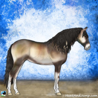 Horse Color:Liver Red Onyx Rabicano