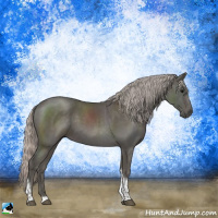 Horse Color:Silver Black Tobiano Rabicano