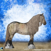 Horse Color:Liver Red Dun Sabino Rabicano Brindle 