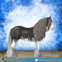 Horse Color:Liver Chestnut Mushroom Sabino Splash 