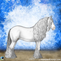 Horse Color:Grullo Mushroom Sabino Rabicano