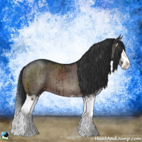 Horse Color:Brown Dun Mushroom Sabino Splash Brindle